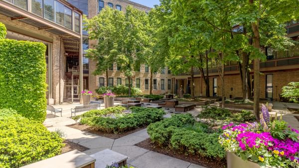 CSL Courtyard 1