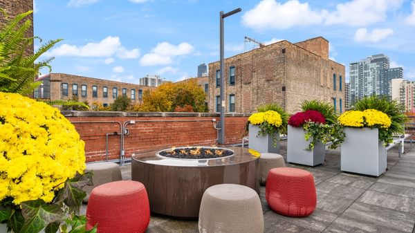 CSL Roof Deck 1