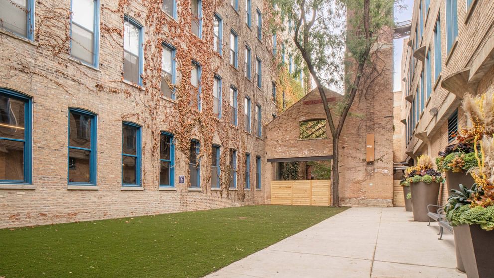 Cobblersquarelofts dog run 1